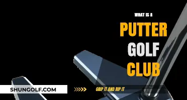 Understanding the Putter: Essential Golf Club for Precision Putting