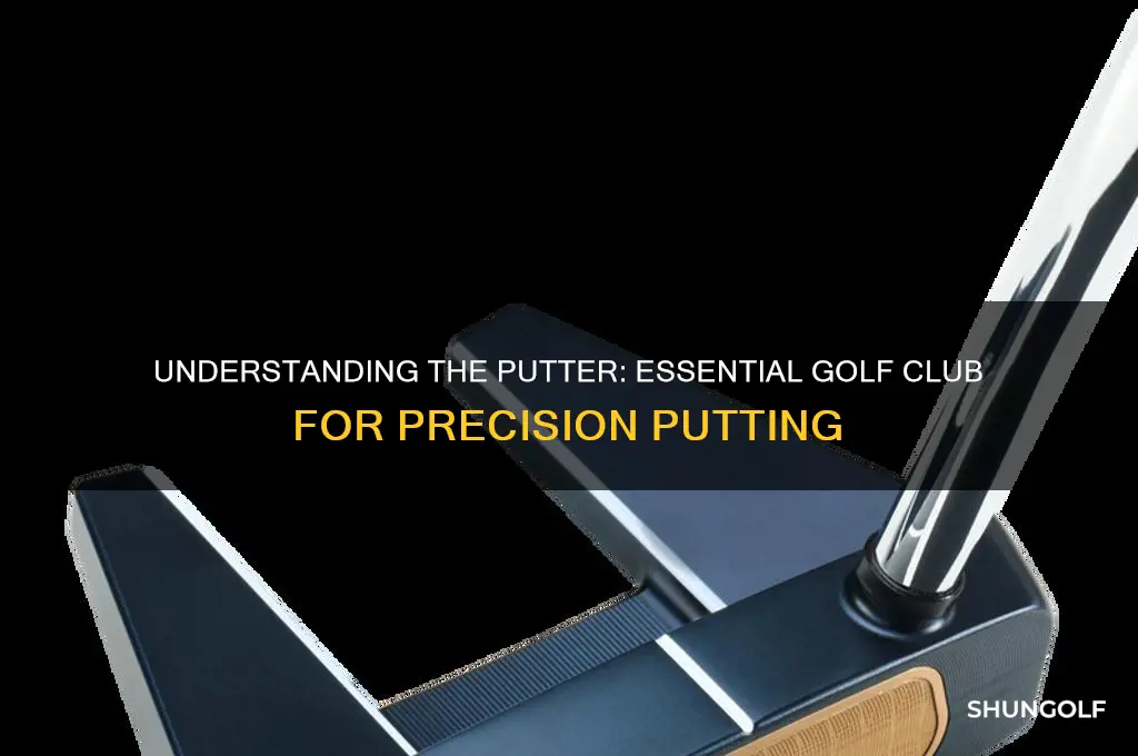 what is a putter golf club
