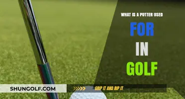 Mastering the Green: The Essential Role of a Putter in Golf