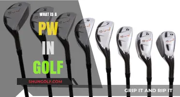 Golf's PW: Perfecting Your Short Game