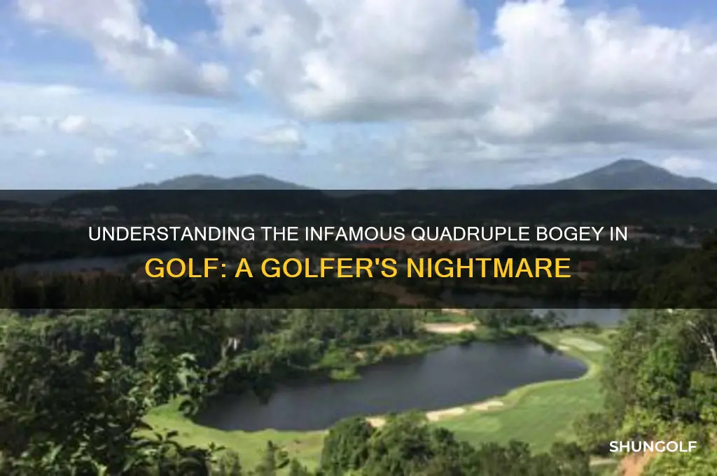 what is a quadruple bogey called in golf