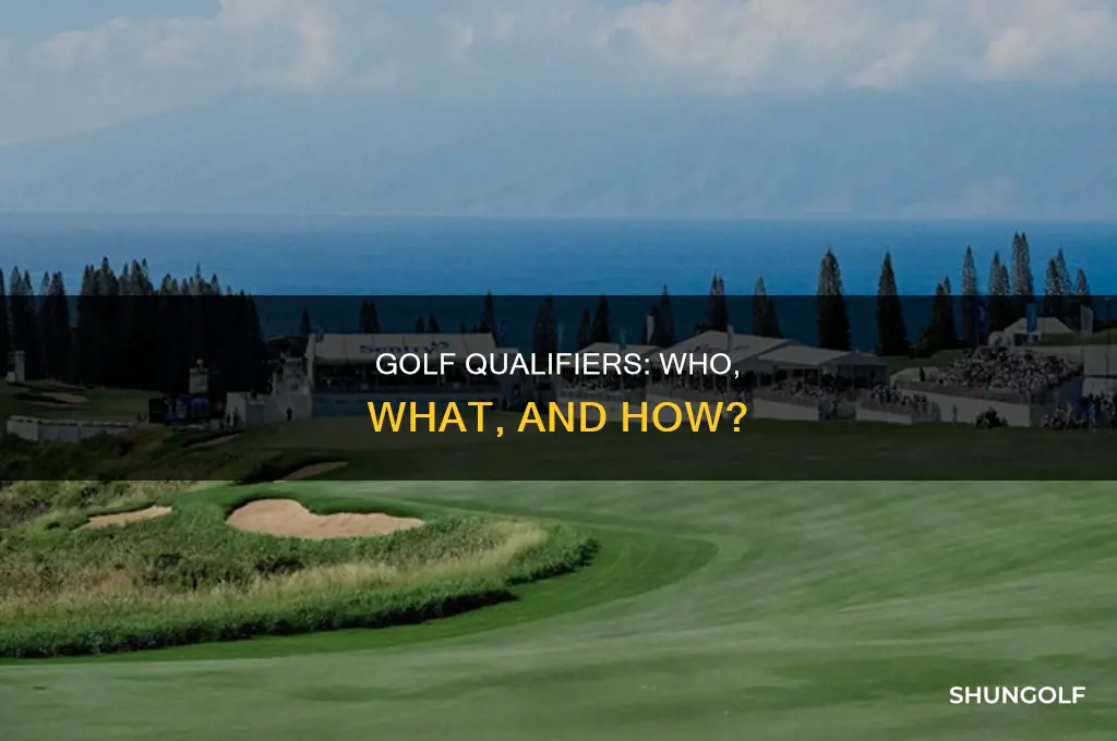 what is a qualifier in golf