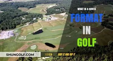 Understanding Golf's Quota Format: A Beginner's Guide to Scoring