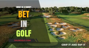 Understanding the Rabbit Bet: A Unique Golf Wager Explained
