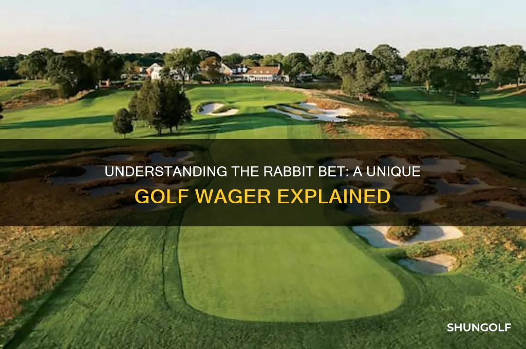 what is a rabbit bet in golf