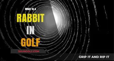 Golf's Rabbit Hole: A Guide to the Term