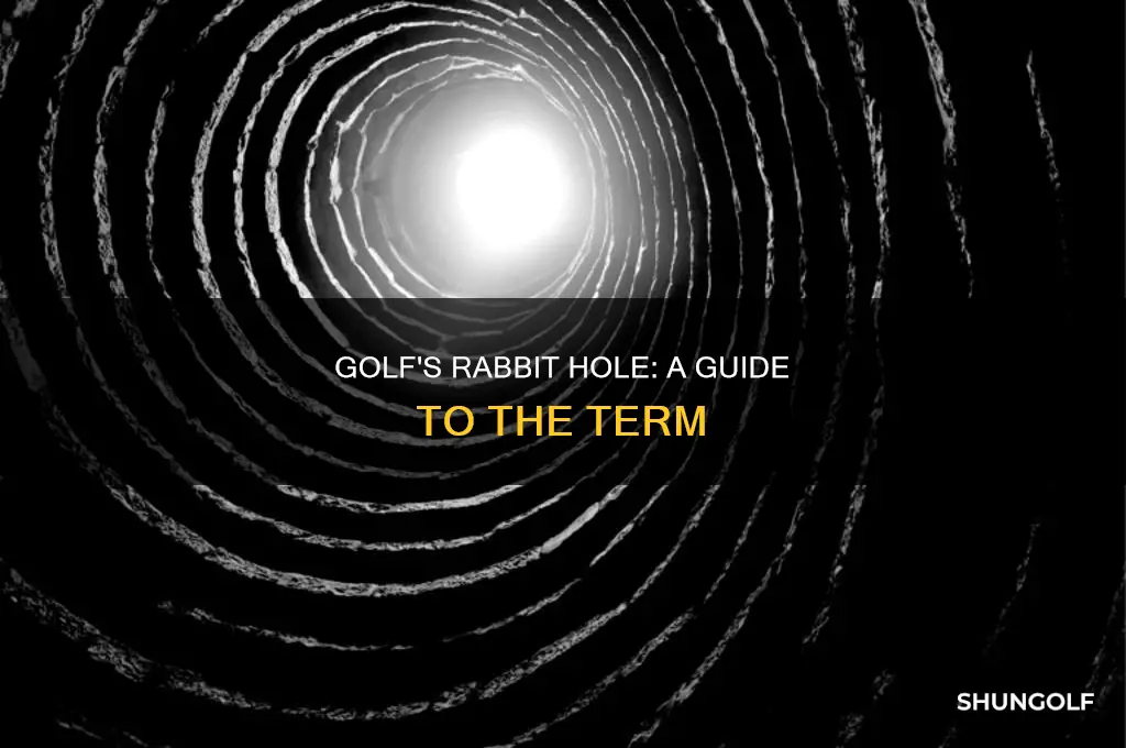 what is a rabbit in golf
