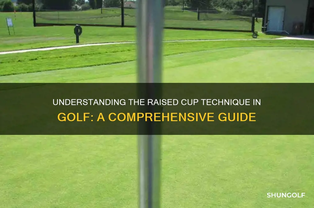 what is a raised cup in golf