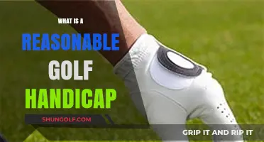 Understanding a Reasonable Golf Handicap for Amateur Players