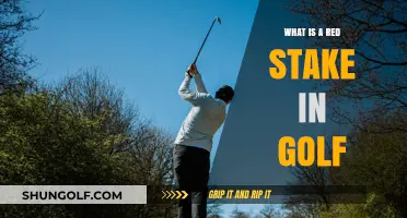 Understanding Golf's Red Stakes: Rules, Penalties, and Course Strategy