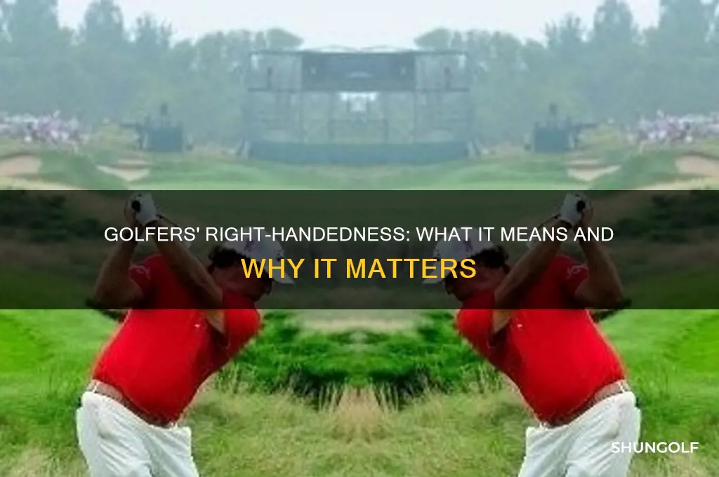 what is a right handed golfer