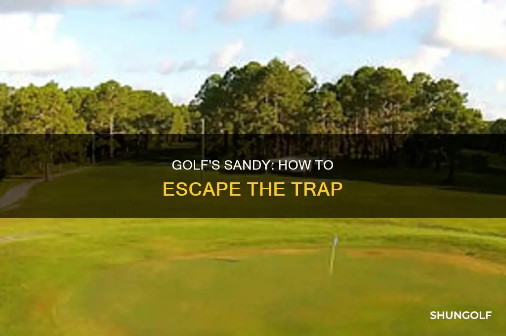 what is a sandy in golf