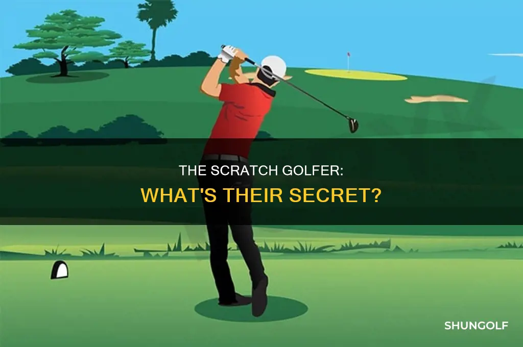 what is a scartch golfer
