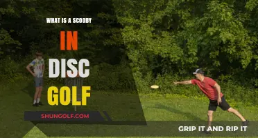 Unleashing the Mystery: What's a Scooby in Disc Golf?