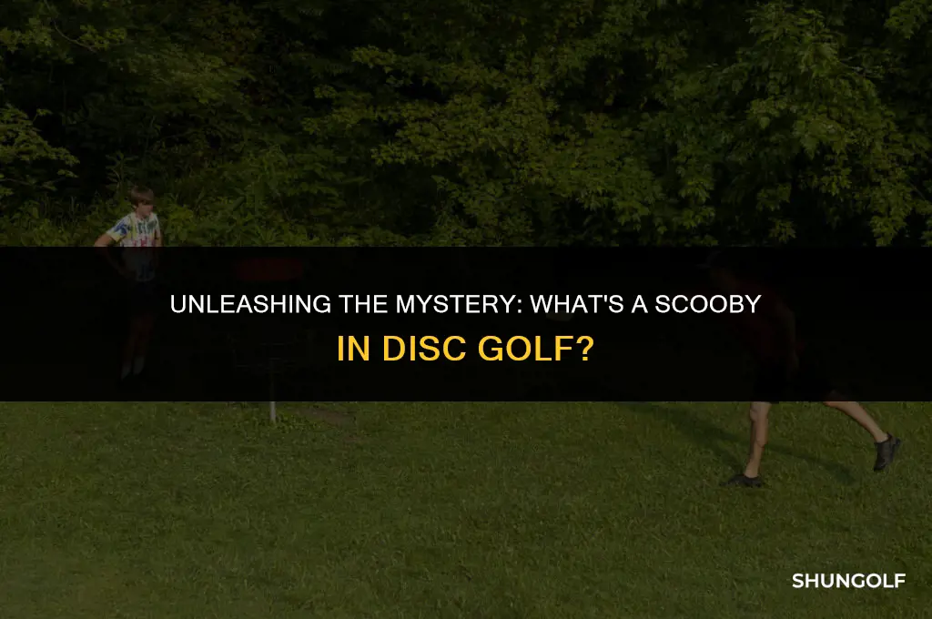 what is a scooby in disc golf