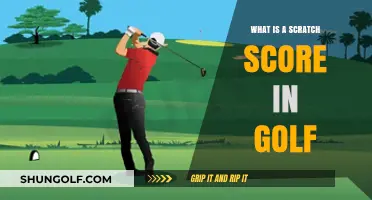 Understanding Scratch Scores in Golf: A Beginner's Guide to the Basics