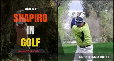 Golf's Shapiro: A Unique Swing Technique