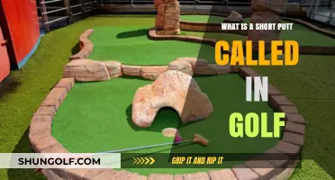 Mastering the Tap-In: Understanding Golf's Short Putt Terminology