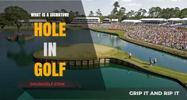Understanding Golf's Signature Hole: Definition, Design, and Iconic Examples