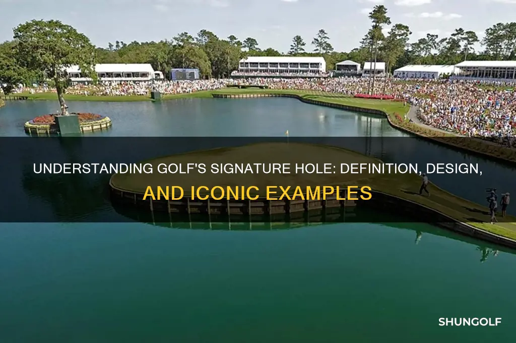 what is a signature hole in golf