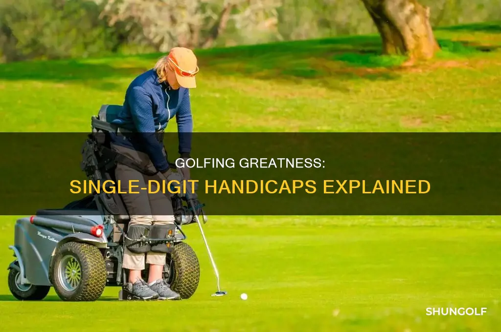 what is a single digit golfer