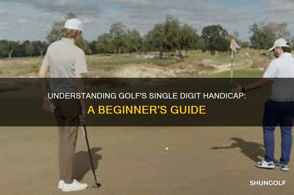 what is a single digit handicap in golf