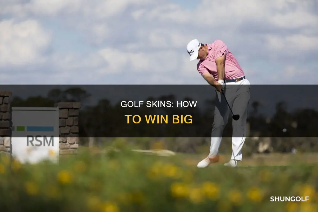 what is a skin in golf