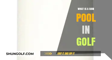 Understanding Skin Pools: A Unique Golf Betting Game Explained