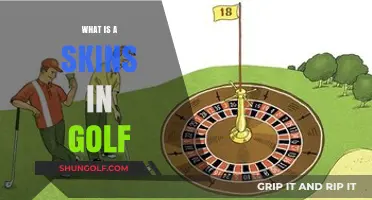 Golf Skins: How They Work and Why They Matter