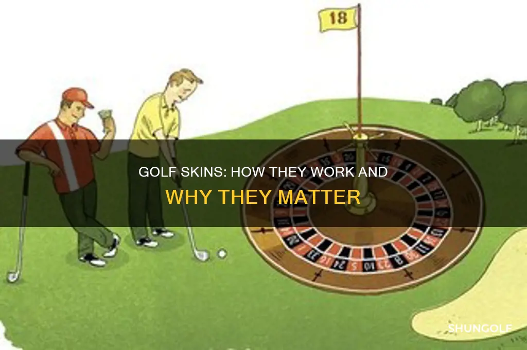 what is a skins in golf