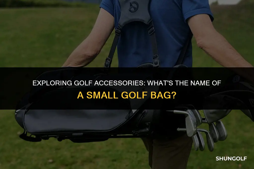 what is a small golf bag called