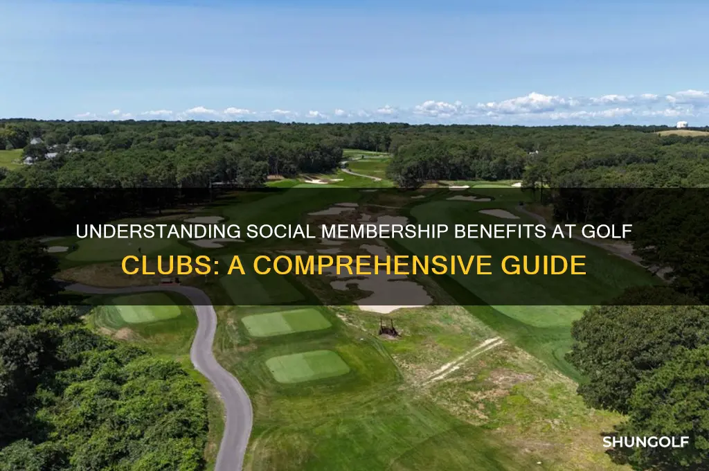 what is a social membership at a golf club