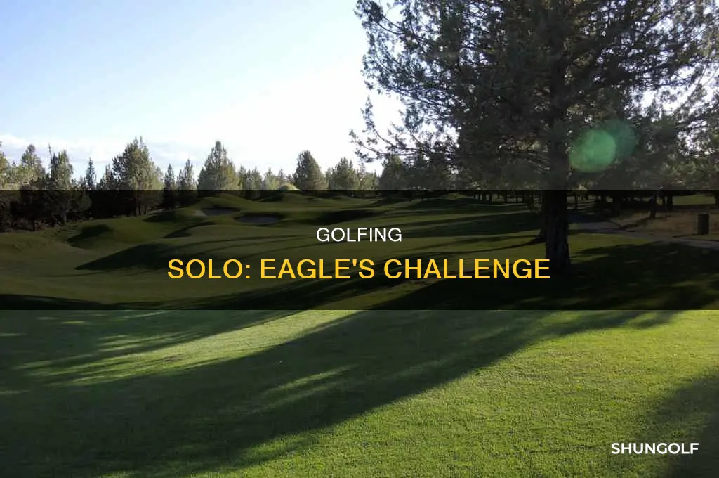 what is a solo eagle golf