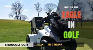 Understanding the Solo Eagle: A Rare Golf Achievement Explained