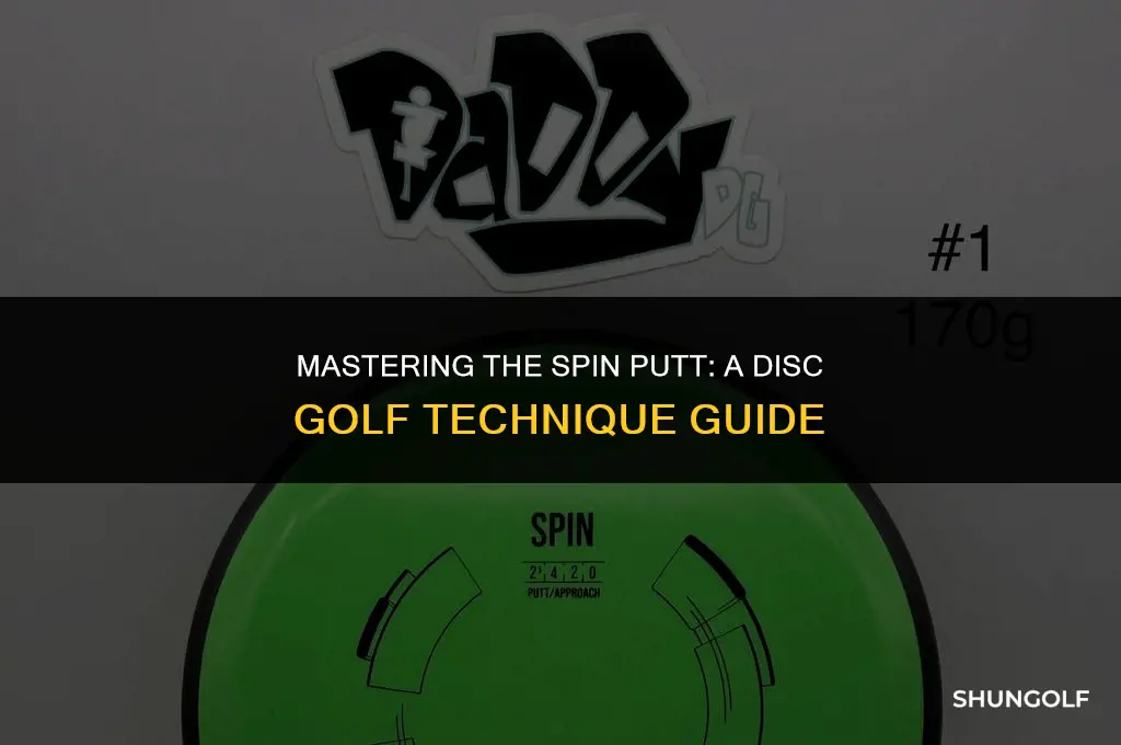 what is a spin putt disc golf
