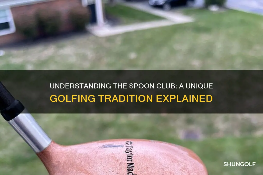 what is a spoon club in golf