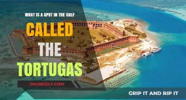 Unveiling the Tortugas: A Unique Spot in Golf Explained