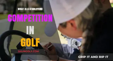 Understanding Stableford: A Unique Golf Competition Format Explained