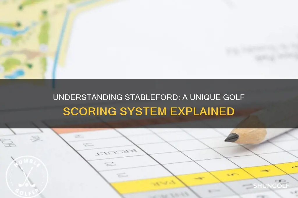 what is a stableford golf game