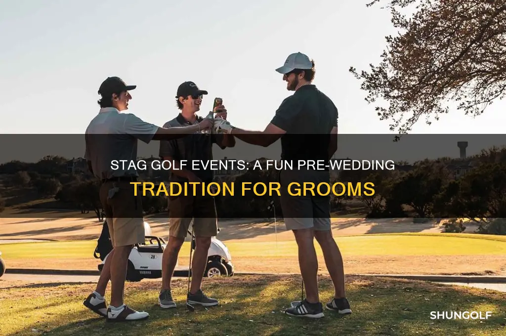 what is a stag golf event