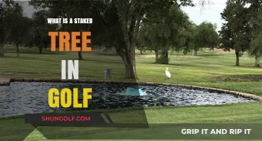 Understanding Staked Trees in Golf: Rules, Impact, and Course Strategy