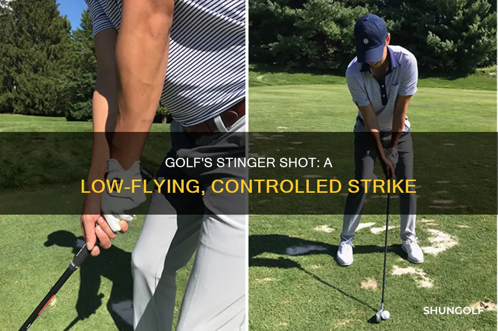 what is a stinger golf