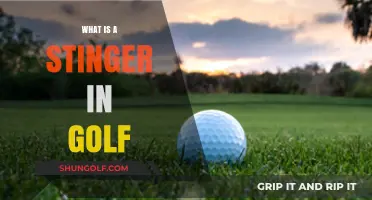 Golf's Stinger: A Low-Piercing Shot Every Golfer Should Master