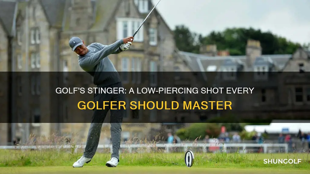 what is a stinger in golf