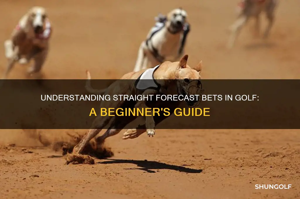 what is a straight forecast bet in golf