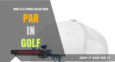 Understanding Golf's Double Bogey: A Stroke Over Par Explained