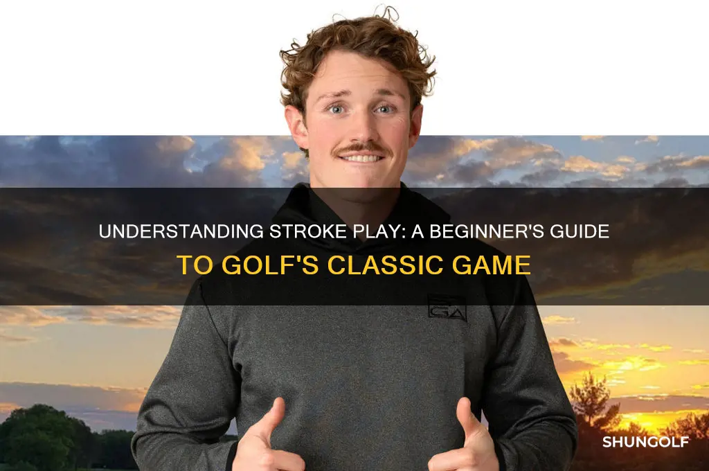 what is a stroke golf game