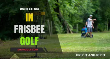 Understanding the Stroke: A Beginner's Guide to Frisbee Golf Mechanics