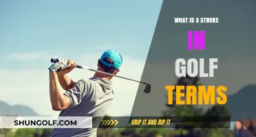 Understanding Golf Strokes: A Beginner's Guide to Swing Basics