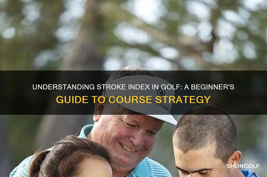 what is a stroke index in golf